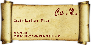Csintalan Mia névjegykártya